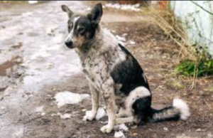 Screenshot 2026-02-01 194444