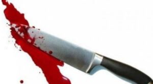 Screenshot 2026-02-14 195703