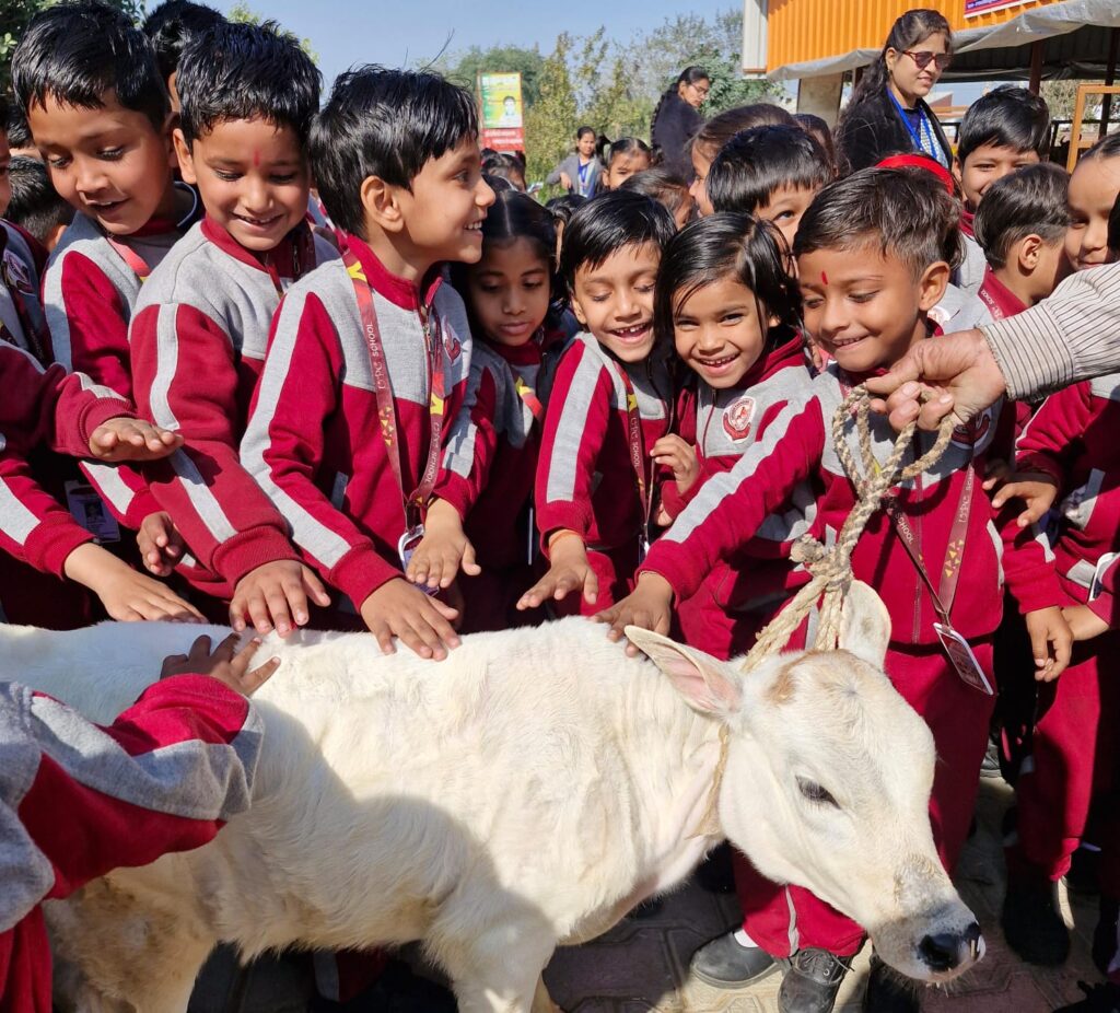 WhatsApp Image 2026-02-12 at 4.13.25 PM