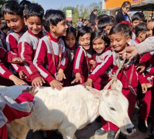 WhatsApp Image 2026-02-12 at 4.13.25 PM