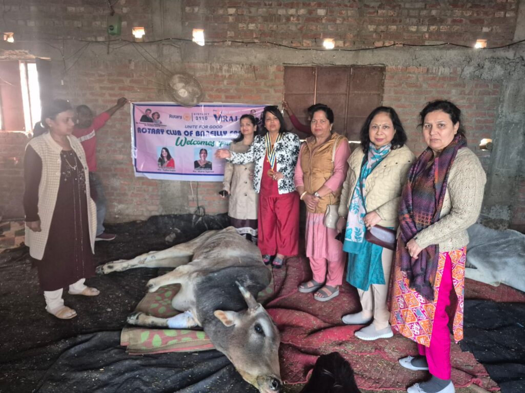 WhatsApp Image 2026-02-12 at 7.06.26 PM