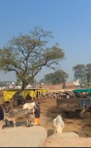 WhatsApp Image 2026-02-17 at 6.15.18 PM