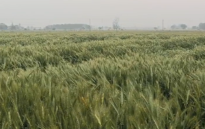 Screenshot 2026-03-20 162404