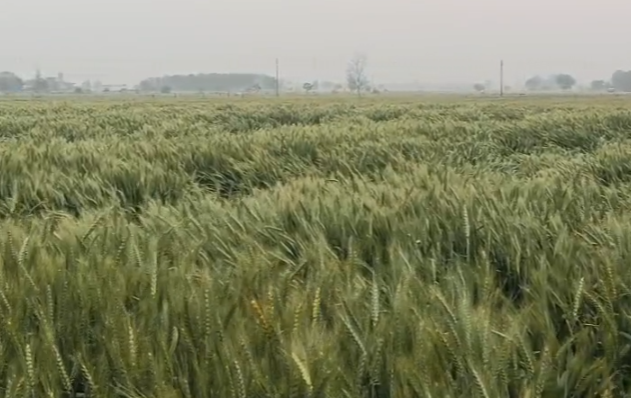 Screenshot 2026-03-20 162404