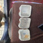 चोरी के मामले में फरार अभियुक्त से शत-प्रतिशत बरामदगी, जेवरात हुए रिकवर