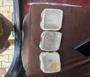 WhatsApp Image 2026-03-20 at 7.56.05 PM