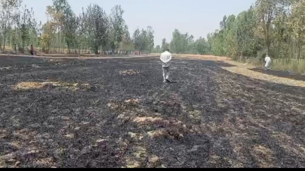 WhatsApp Image 2026-04-14 at 5.51.44 PM