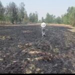 आग की बढ़ती घटनाओं पर प्रशासन अलर्ट, सर्वे के बाद किसानों को शीघ्र मुआवजा : डीएम