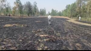 WhatsApp Image 2026-04-14 at 5.51.44 PM