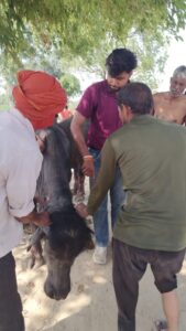 WhatsApp Image 2026-04-22 at 7.44.46 PM