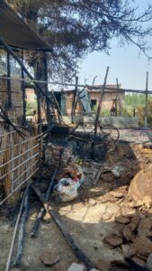 WhatsApp Image 2026-04-24 at 6.53.30 PM