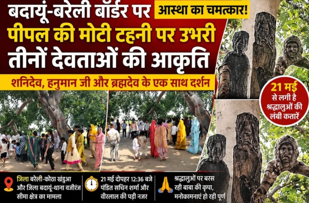 WhatsApp Image 2026-06-04 at 7.45.54 PM