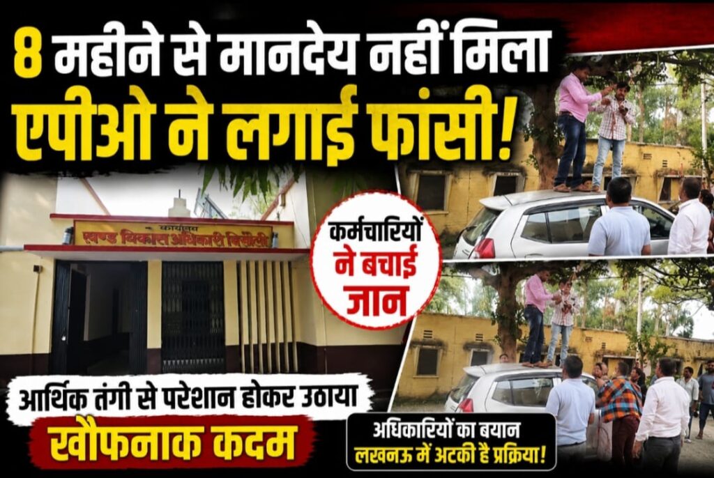 WhatsApp Image 2026-06-12 at 6.37.18 PM