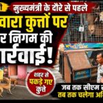 बरेली में मुख्यमंत्री के दौरे से पहले नगर निगम ने अभियान चलाकर आवारा कुत्तों को पकड़ा