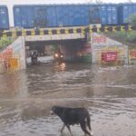 बारिश ने खोली नगर निगम की पोल कलेक्ट्रेट से कॉलोनियों तक पानी ही पानी