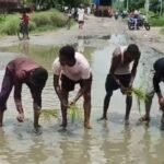 बदायूँ में जलभराव से त्रस्त ग्रामीणों ने सड़क पर की धान की रोपाई, अनोखे प्रदर्शन से प्रशासन को जगाने की कोशिश