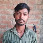 दो सांडों की लड़ाई में युवक की गई जान , साथी घायल